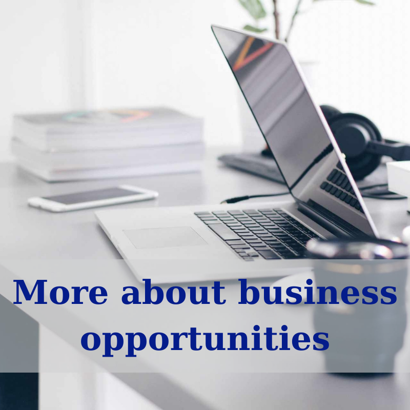 business with faberlic