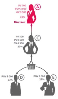 Faberlic Director Bonus